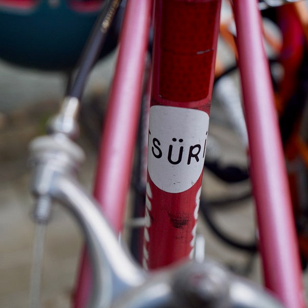 tsüri sticker tsueri züri