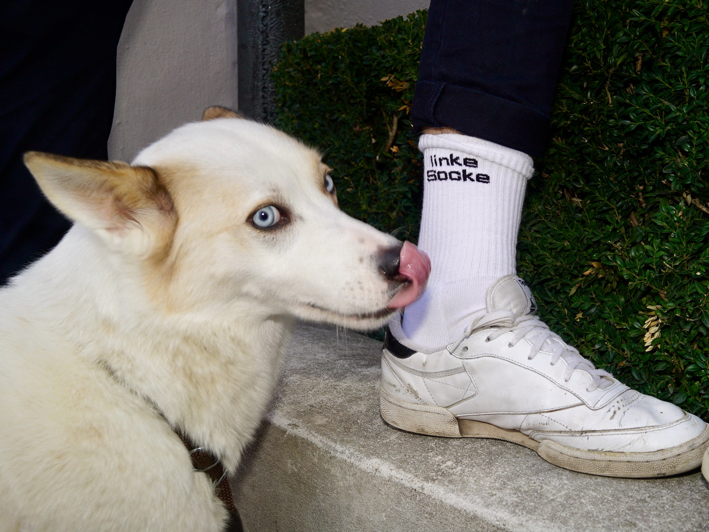 Weisse Sportsocke mit Aufschrift Linke Socke und Tsüri